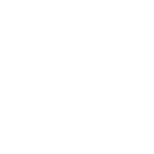 Türkiye_Muay_Thai_logo copy